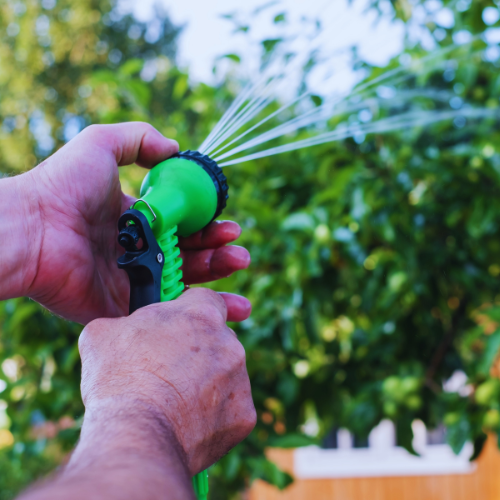 A person is watering a tree with a green hose