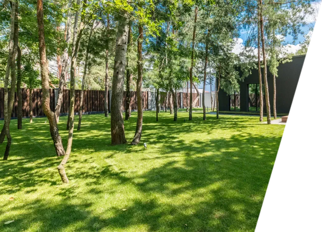 tall trees on a well-maintained yard