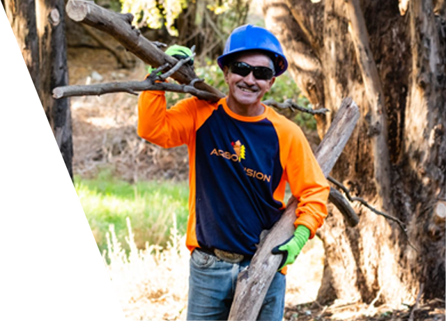 A man wearing a blue hard hat is carrying a large piece of wood