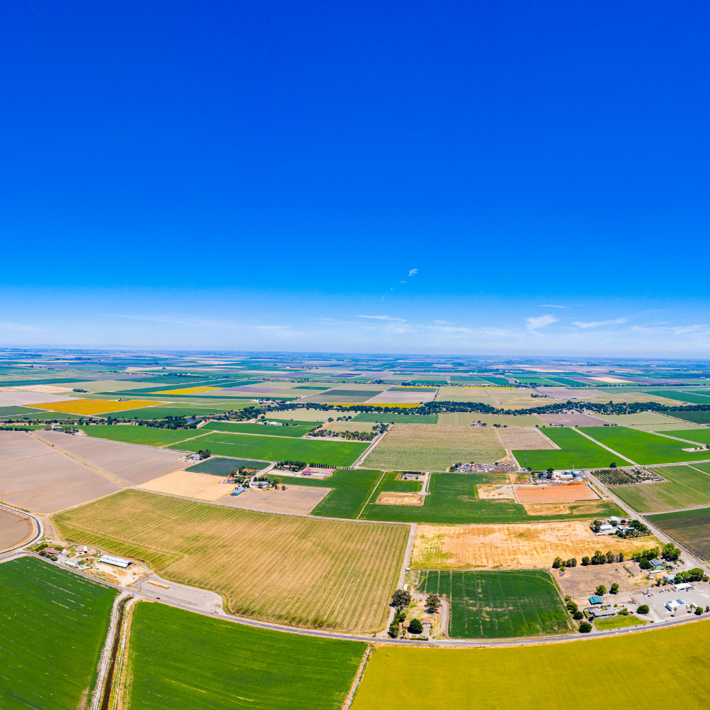 aerial view of farmland in Tracy, California