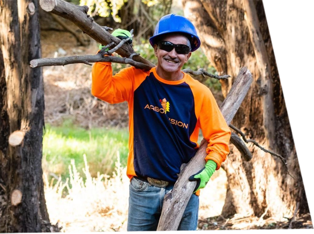 Arbor Vision member carrying tree branching and smiling