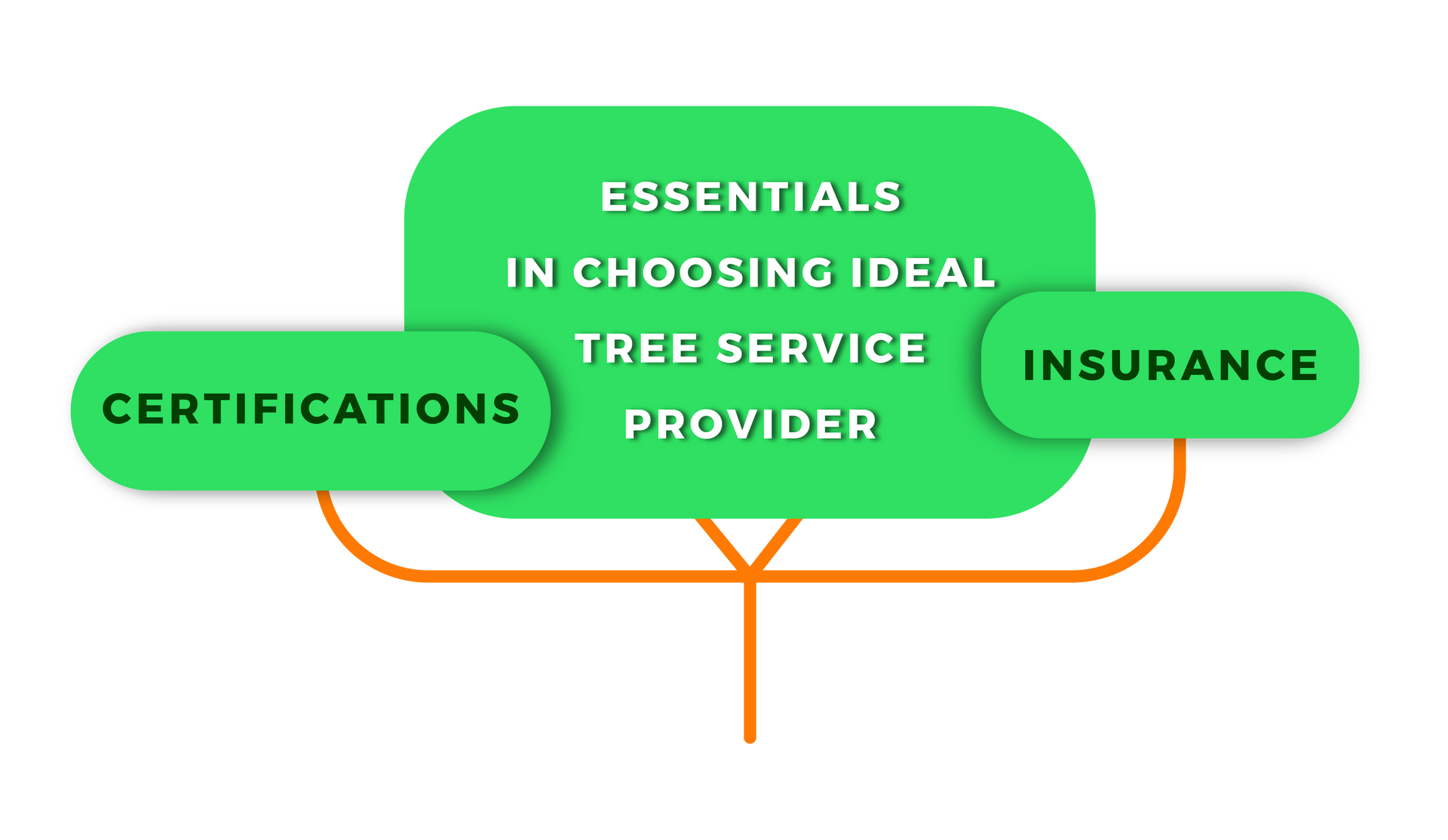 infographic tree on choosing ideal tree service provider