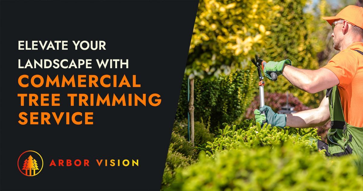 Commercial Tree Trimming Service Arbor Vision, Inc. San Ramon, CA