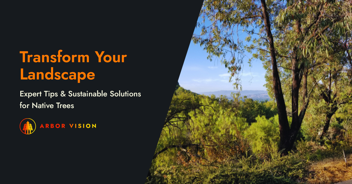 Scenic view of native trees in a San Ramon landscape with hills and clear sky.