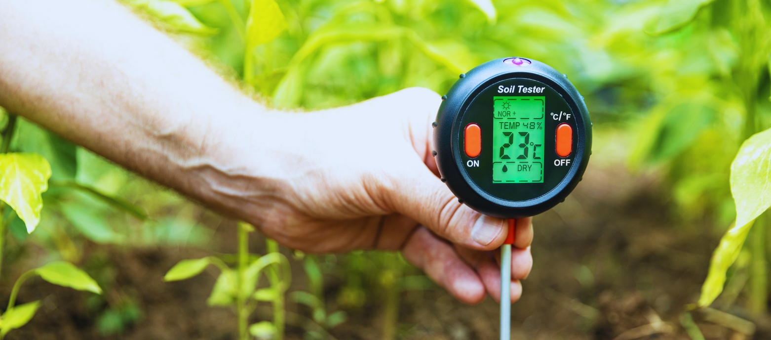 Hand using a digital soil tester in a garden bed.