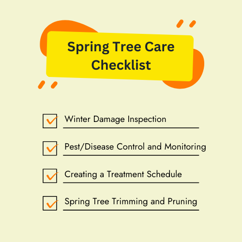 A checklist for spring tree care includes winter damage inspection, pest/disease control and monitoring, and creating a treatment schedule.