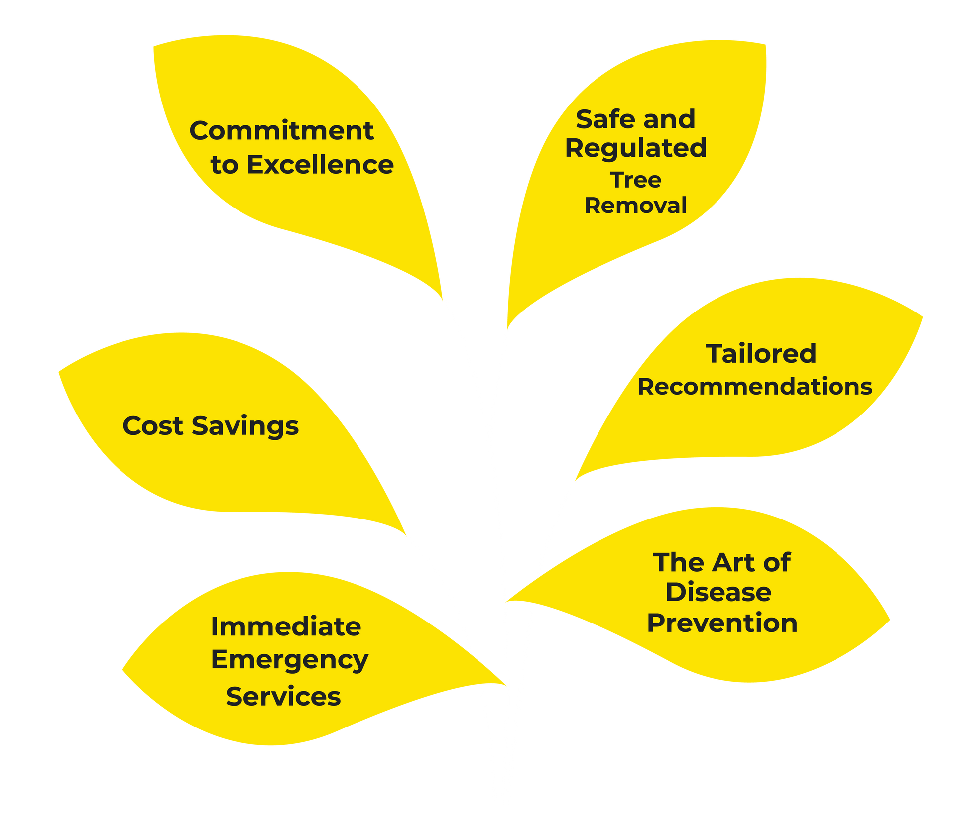 an infographic of yellow leaves with text inside
