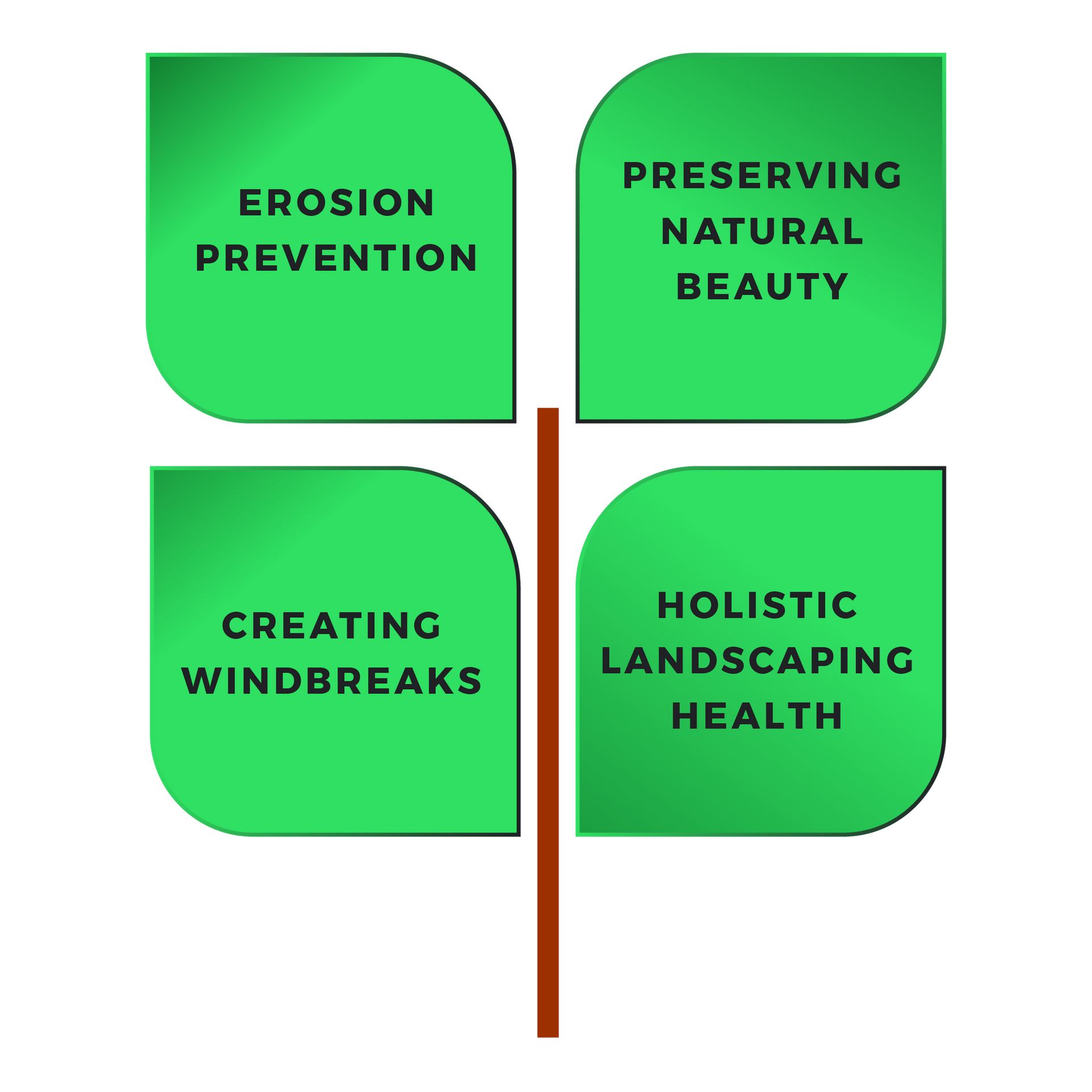 infographic tree with four big leaves and text inside