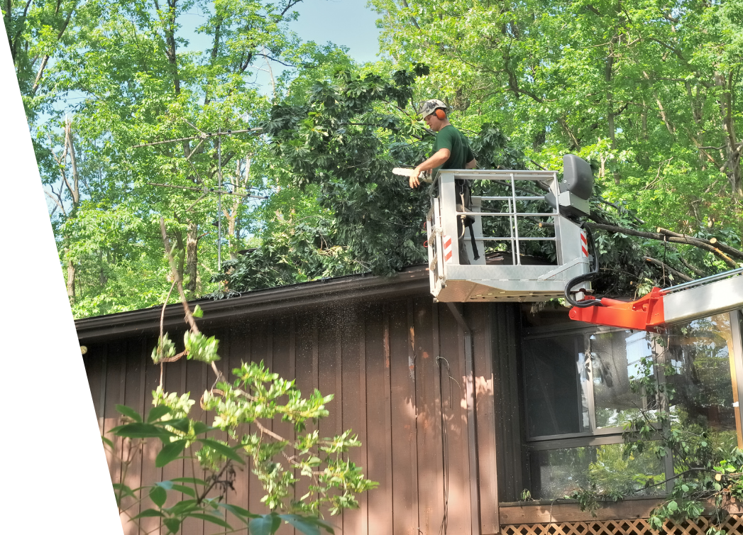 man on a high lift device using a chainsaw to remove fallen trees on the roof of a house