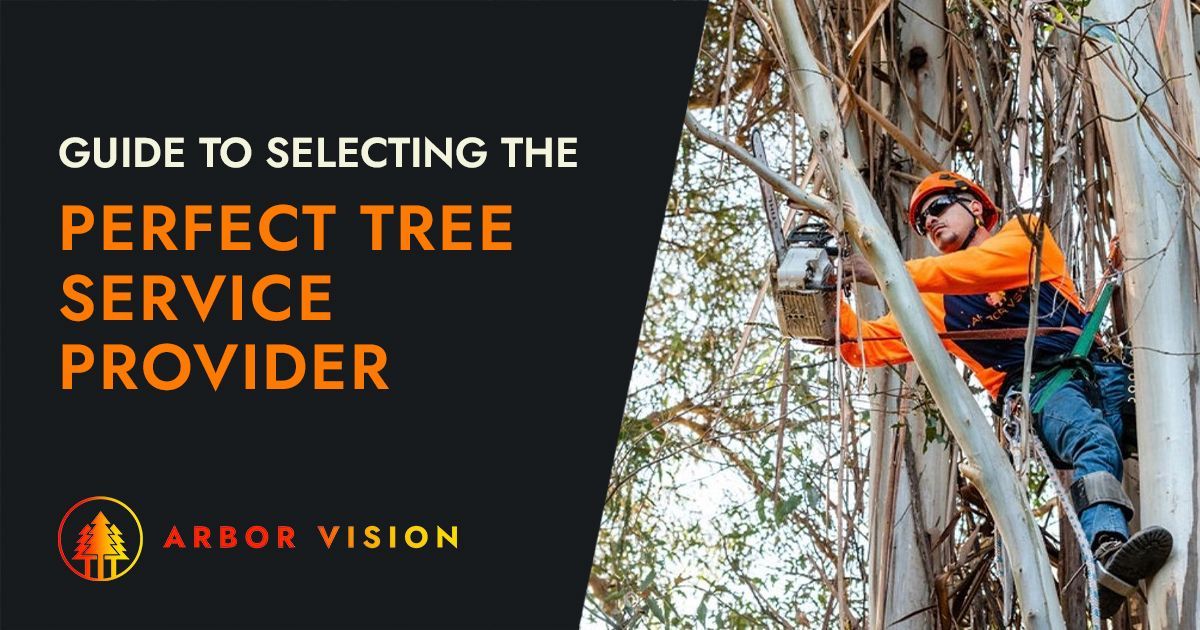 guide to Selecting the Perfect Tree Service Provider blog title