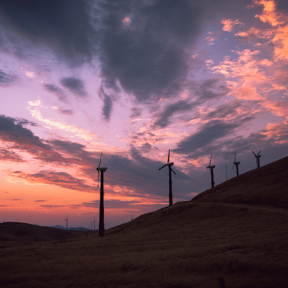 wind power turbines at sunset in Tracy