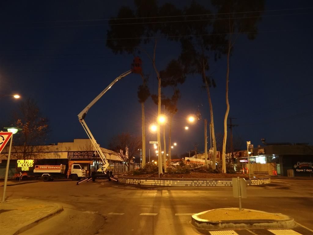 A Crane is Lifting a tree in the Middle of a Street at night — Mawson Constructions in Kialla, VIC