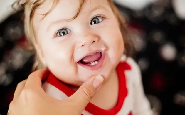 schéma anatomie parodonte marrakech