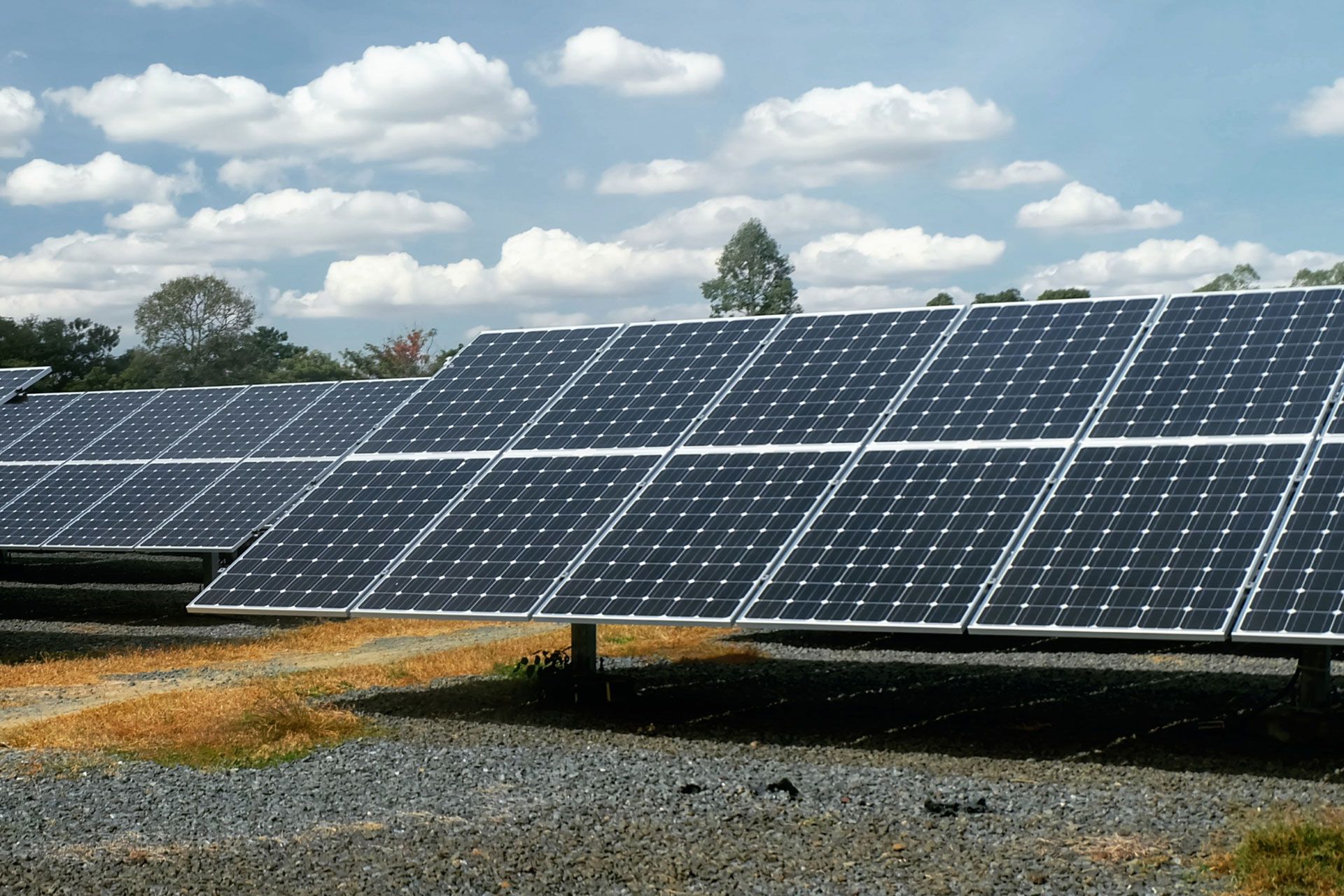 Specialty & Industrial