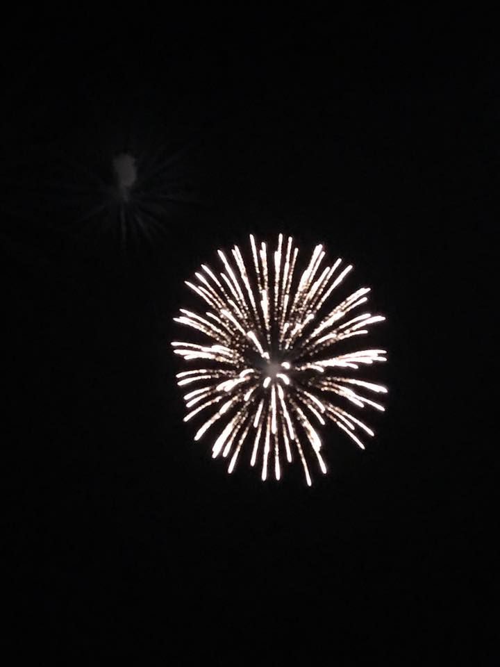 A fireworks display is going off in the night sky