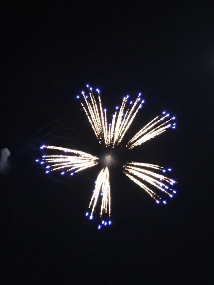 A fireworks display in the shape of a flower