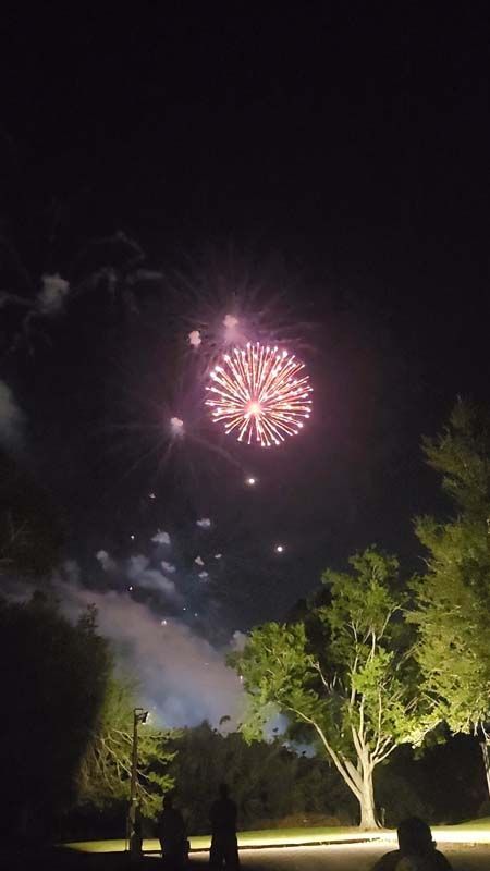 A group of people are watching fireworks in the night sky.
