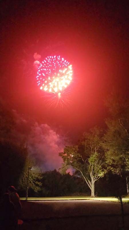 A fireworks display in the night sky over a park with trees in the foreground.