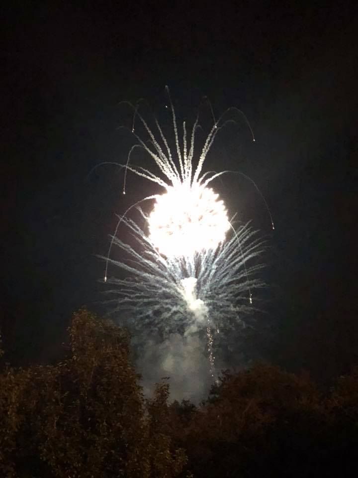A fireworks display in the night sky with trees in the foreground