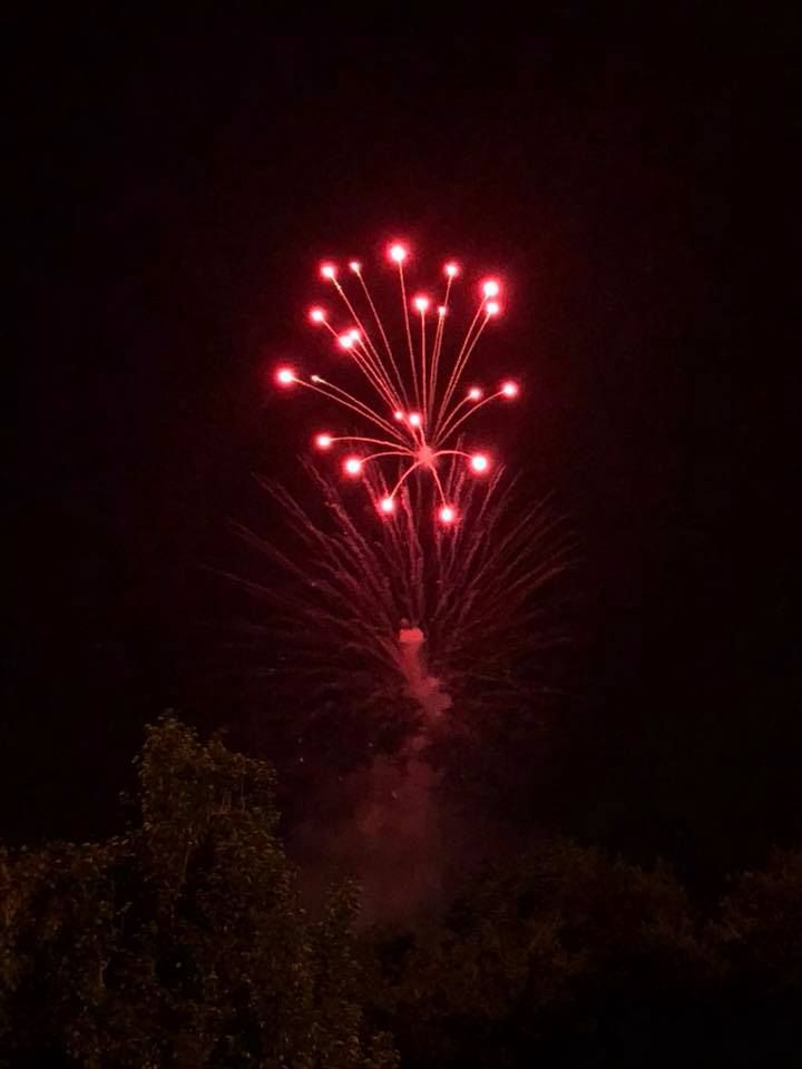 A fireworks display in the night sky with trees in the foreground.