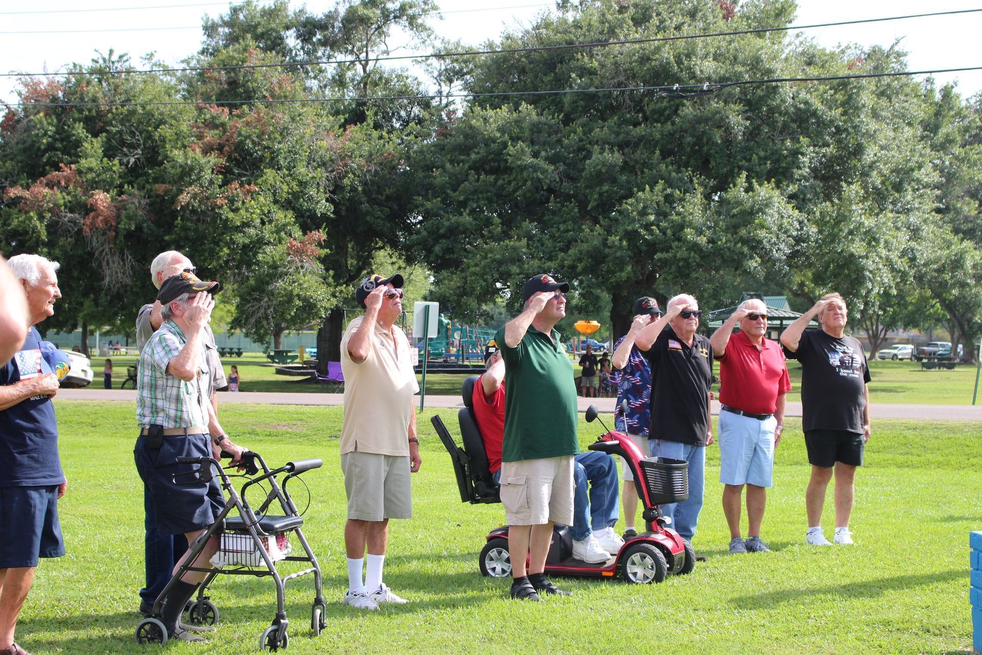 A group of people are saluting in a park.