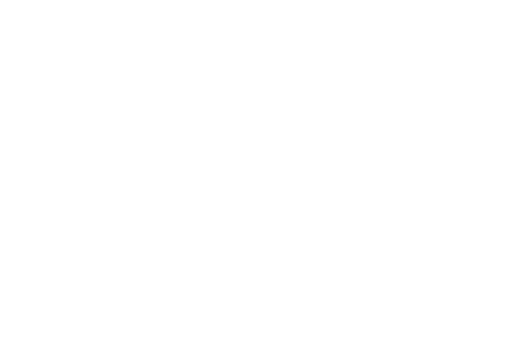 Jellyfish Energy logo
