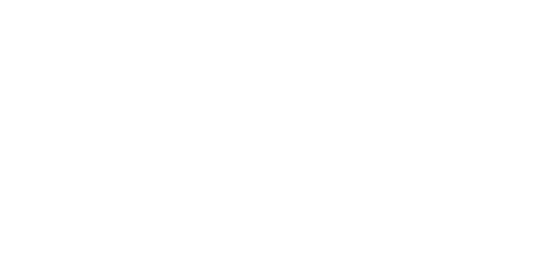 British Gas Lite White Logo