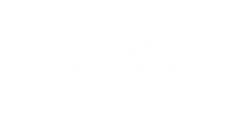 British Gas Lite