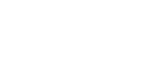 British Gas White Logo