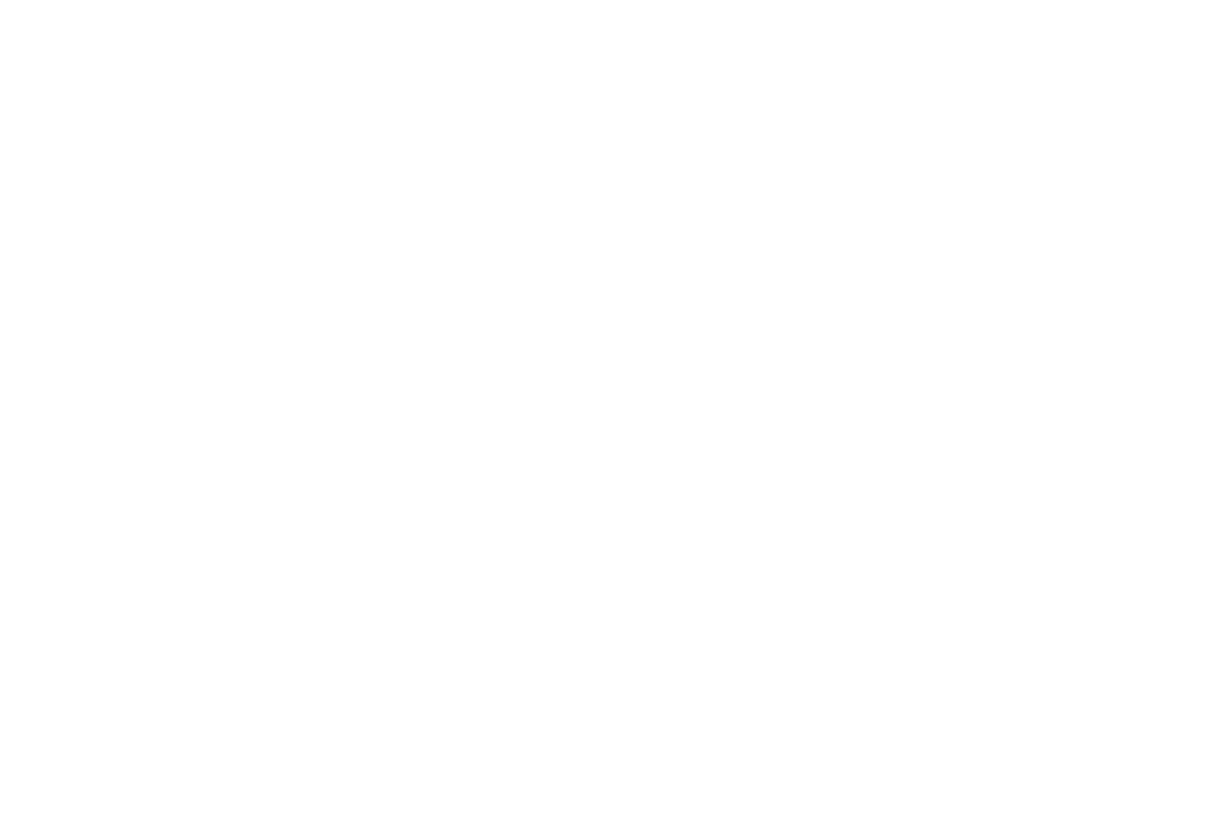 TEM Energy logo