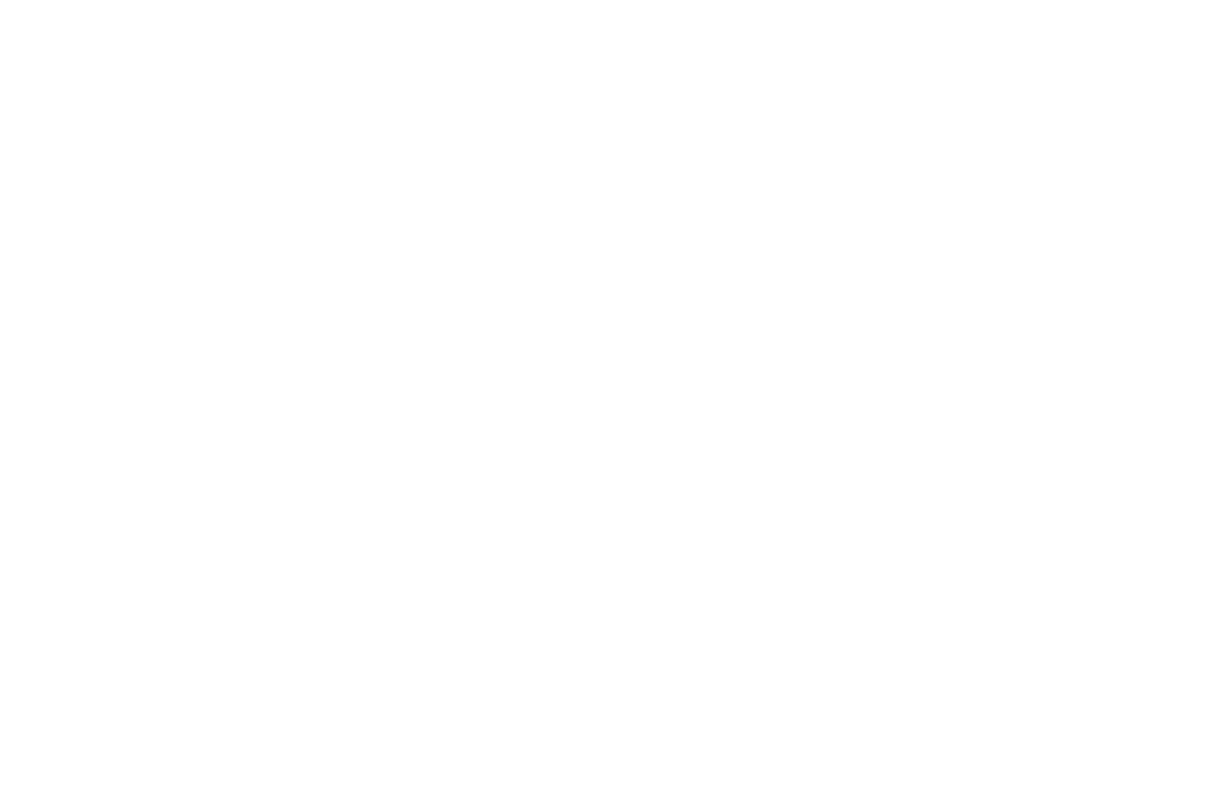 Pozitive Energy logo