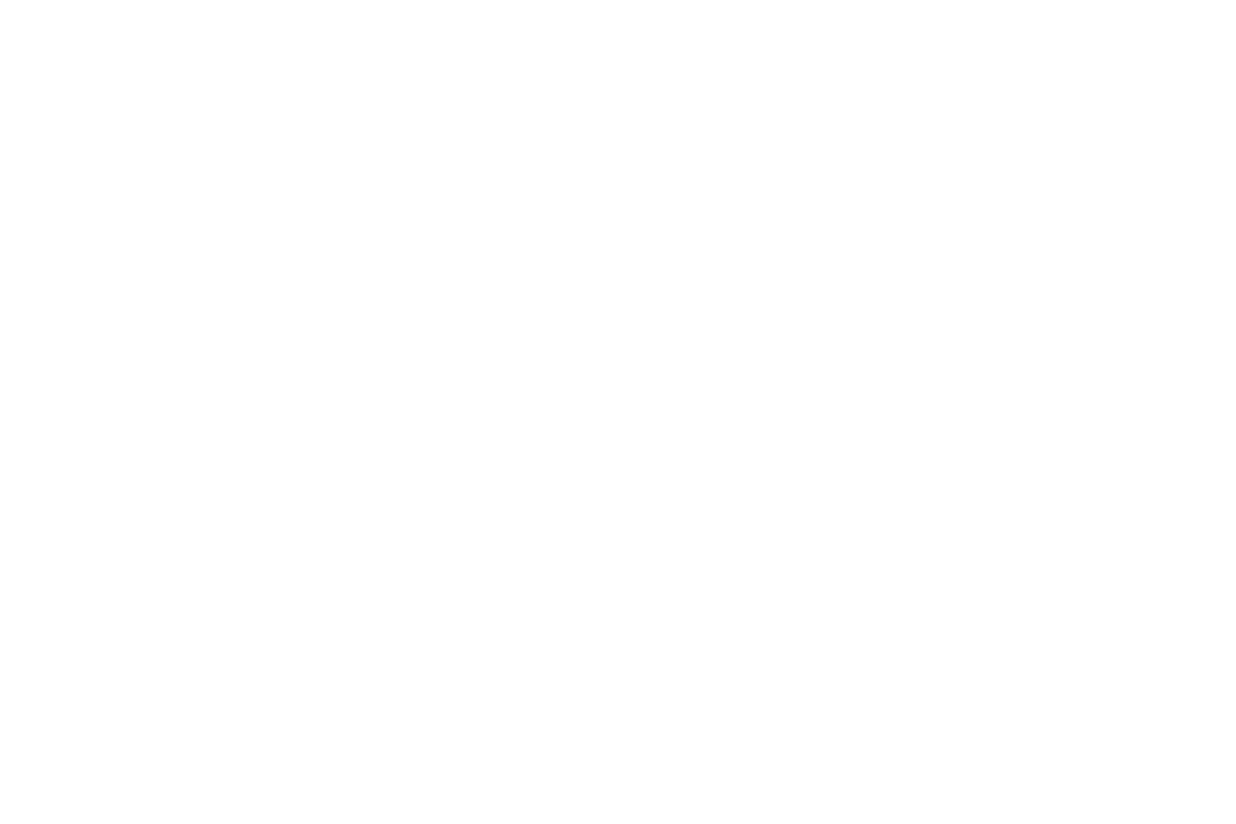 Ecotricity logo