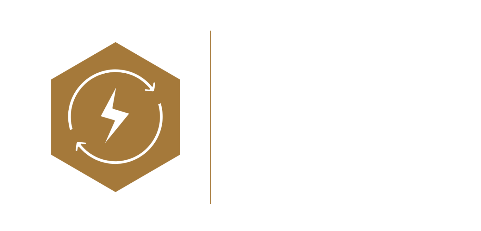 Smart Energy Company