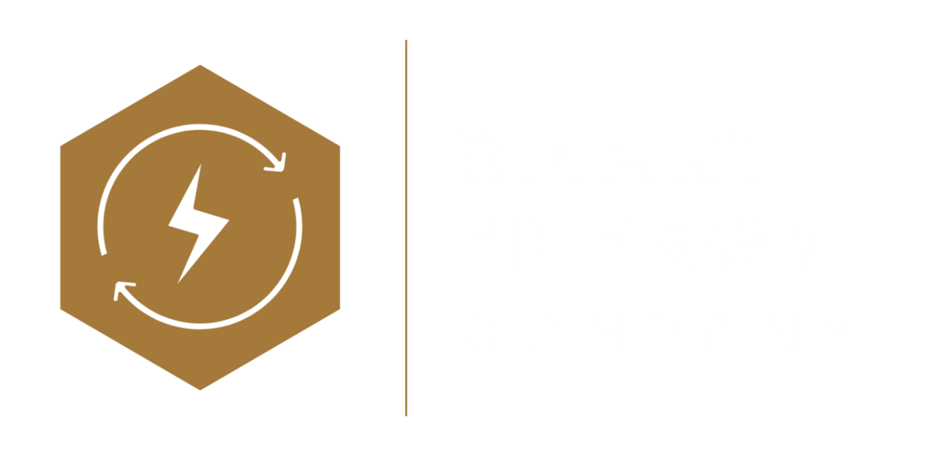 Smart Energy Company