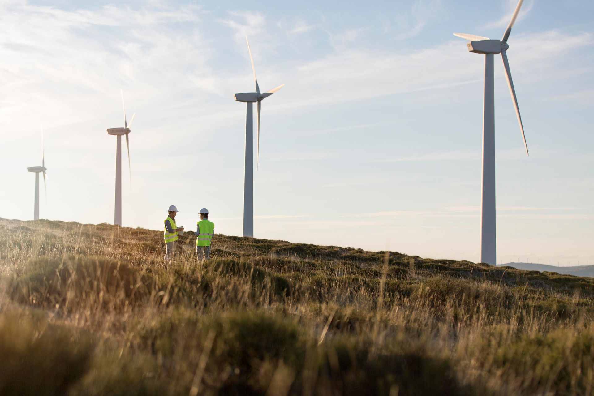 Two men are standing in a field with wind turbines in the background.