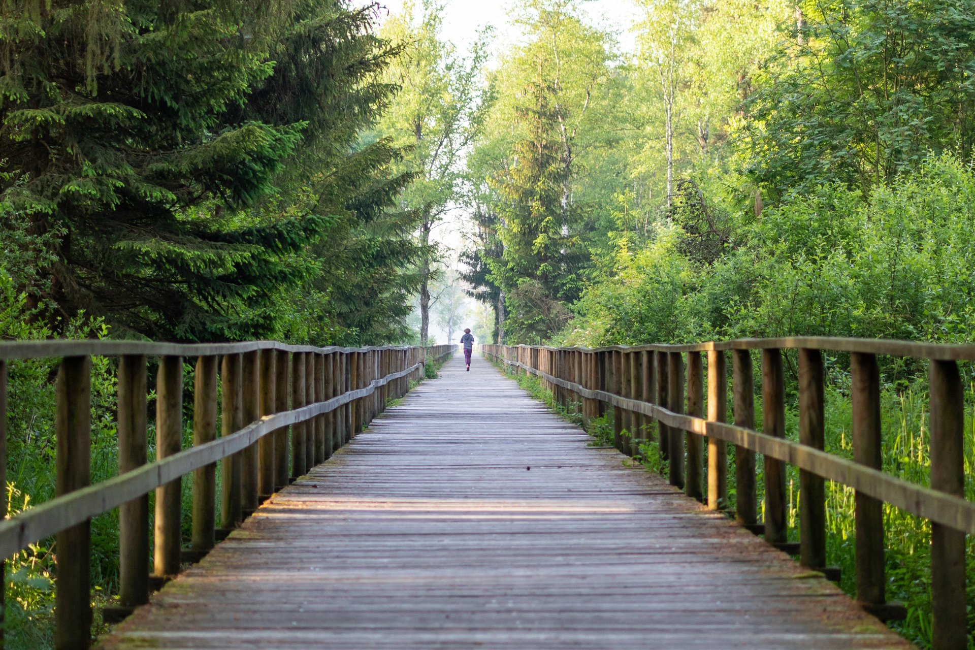 A wooden bridge going through a forest with trees on both sides.
