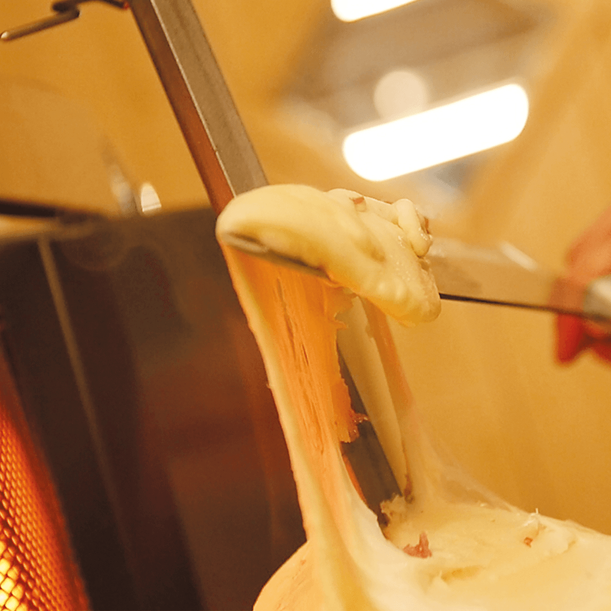 organic italian cheese (caciobab)