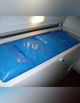 ice supply