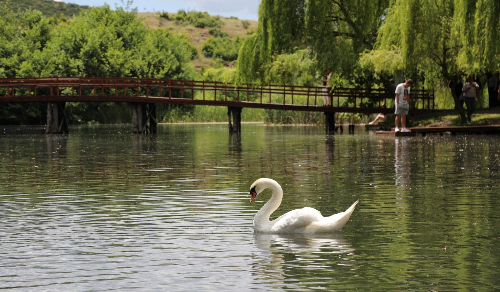 Pogradec