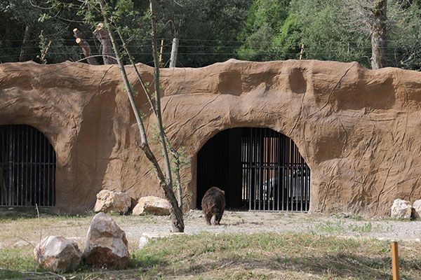 Zoo Park Tirana