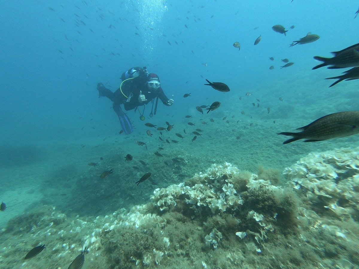 Snorkeling