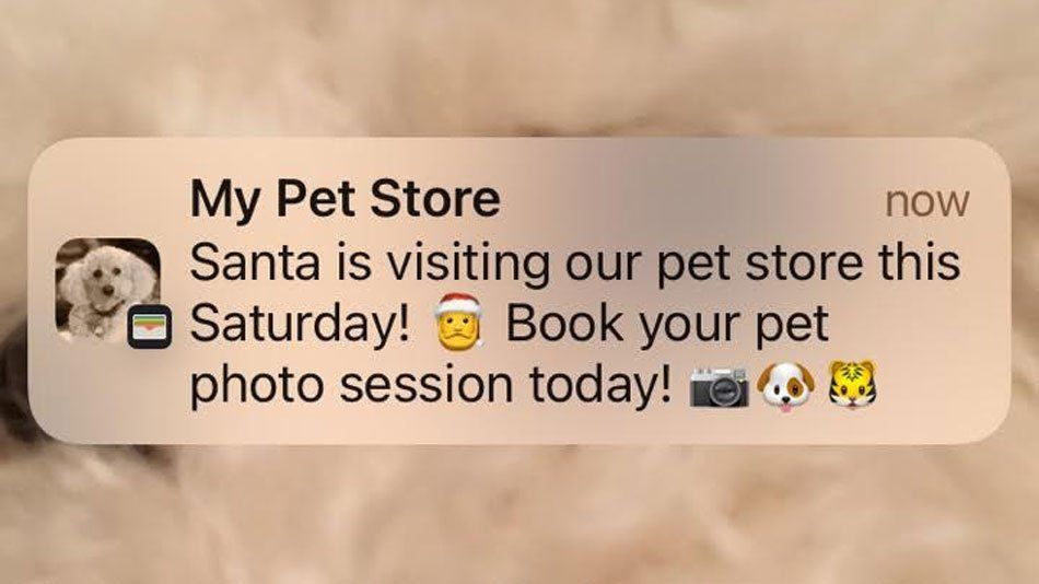 Pet store notification: Santa pet portrait session Saturday, with festive pet photo icons.