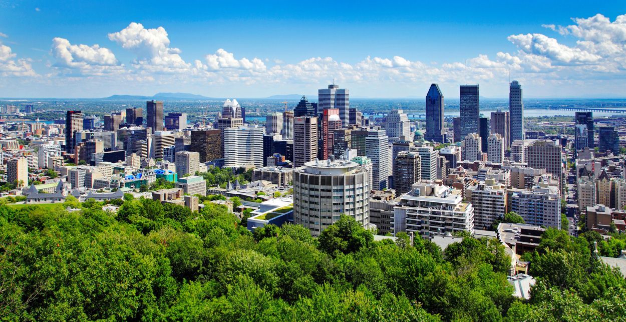 Skyline de Montréal avec des gratte-ciels, des arbres et un ciel bleu.