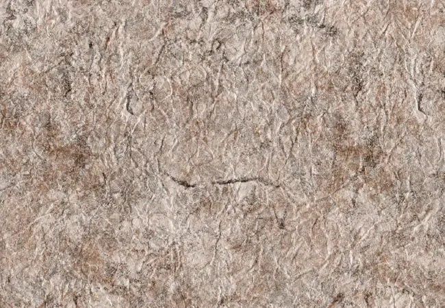 Un gros plan d'une membrane de PVC de couleur taupe vénitien