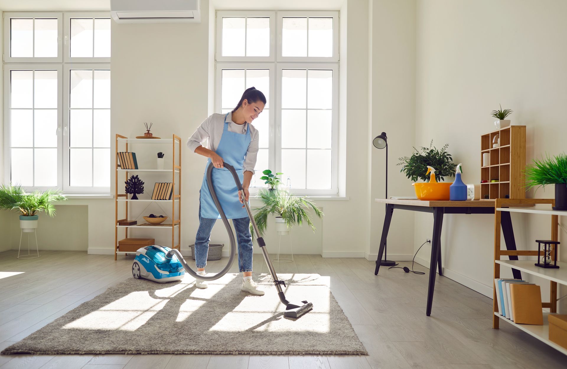 House interior cleaning