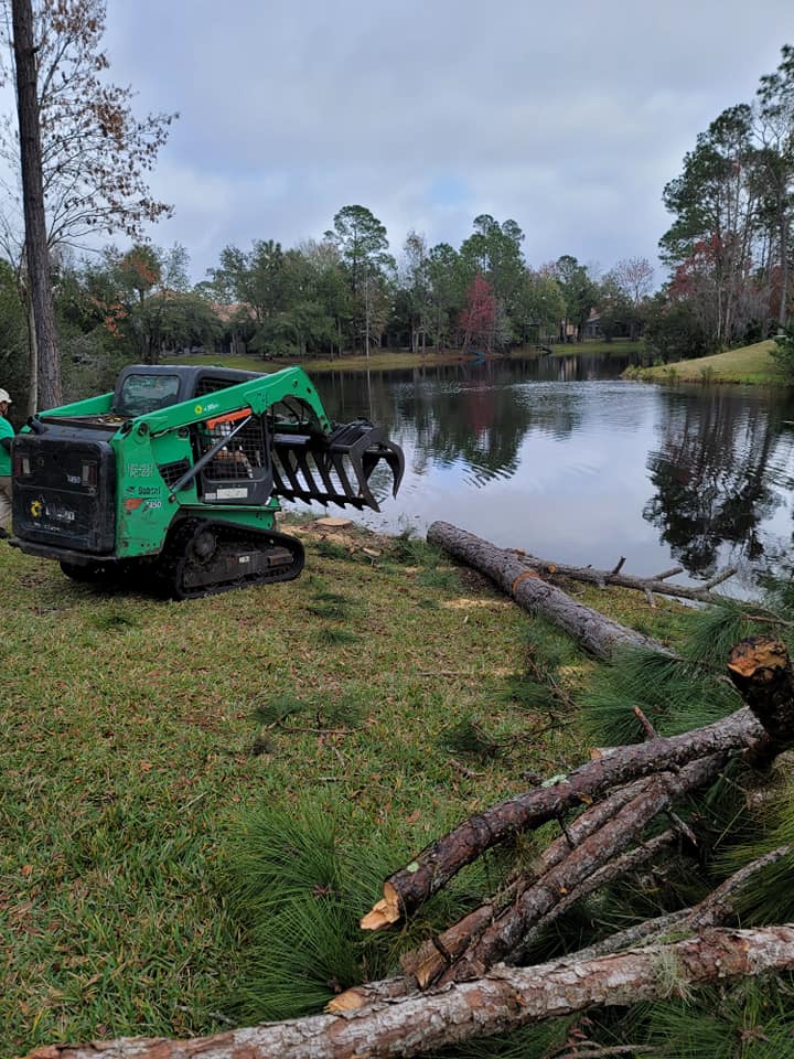 Green bobcat — Central FL — Custom Lakefronts and Tree Care LLC