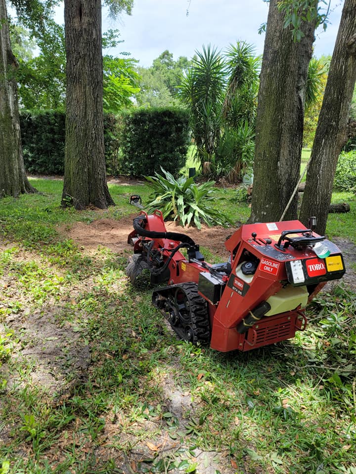 Red bobcat — Central FL — Custom Lakefronts and Tree Care LLC