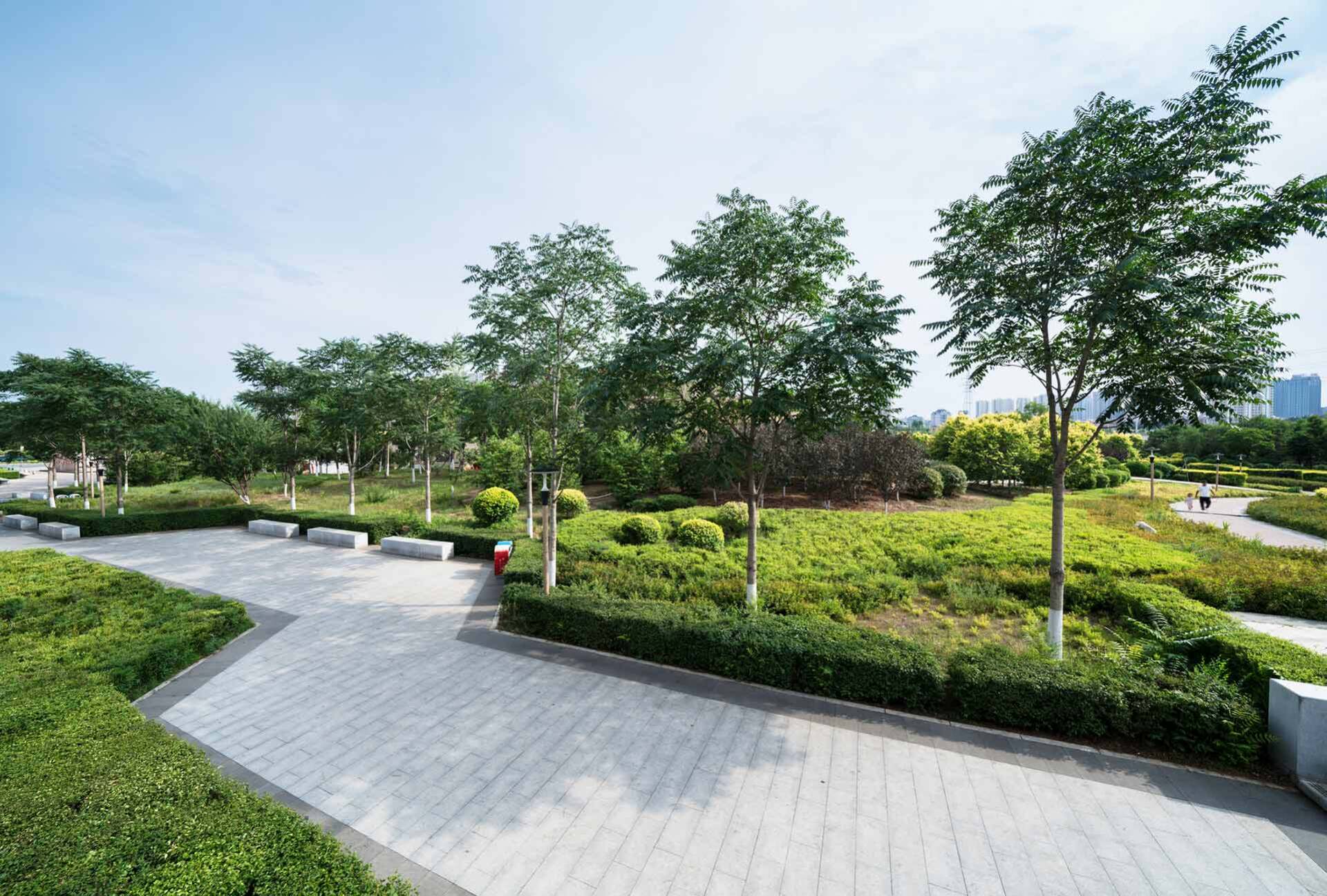 Commercial landscaping — Central FL — Custom Lakefronts and Tree Care LLC