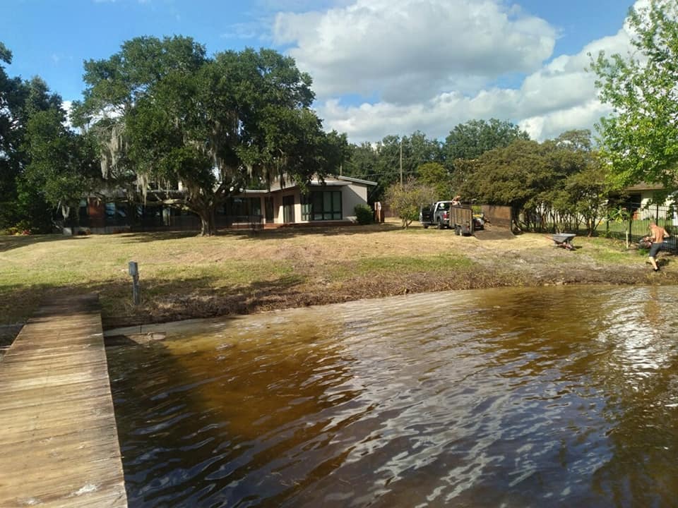 After shrubs and vines removal — Central FL — Custom Lakefronts and Tree Care LLC