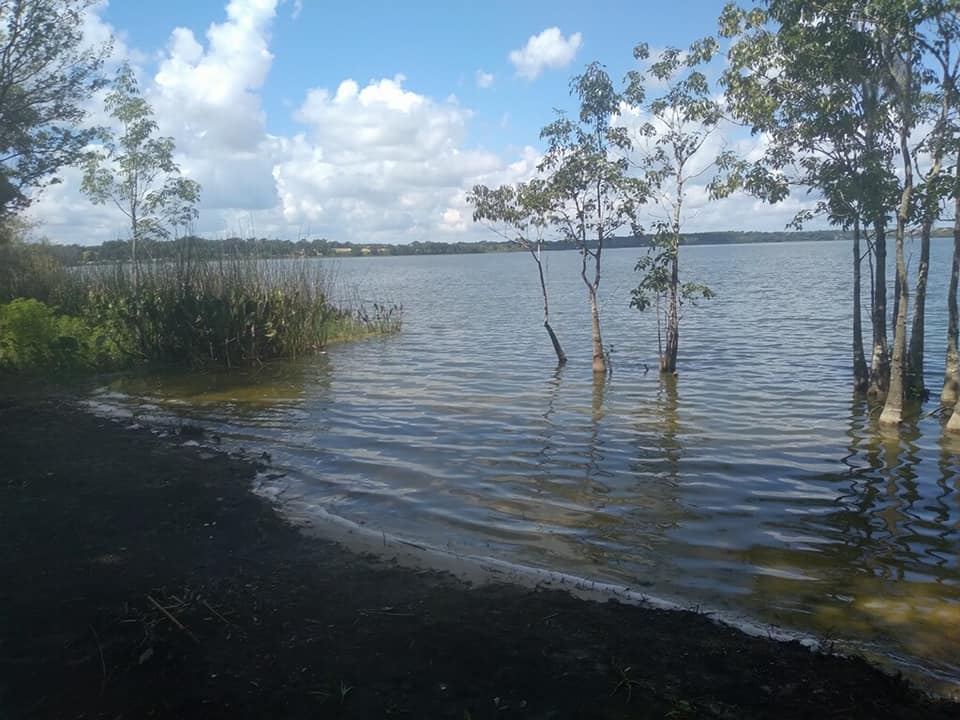 After tree and vegetation removal — Central FL — Custom Lakefronts and Tree Care LLC